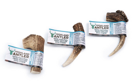 Antler - Small