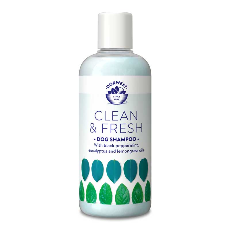 Clean & Fresh Shampoo x 250ml