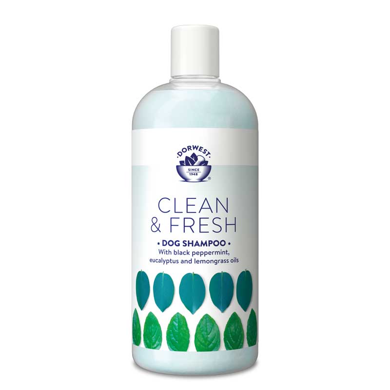 Clean & Fresh Shampoo x 500ml