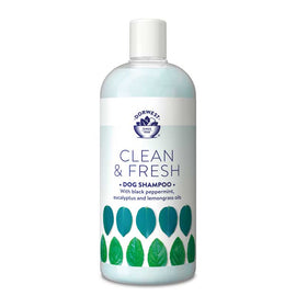 Clean & Fresh Shampoo x 500ml