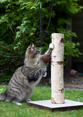 Cat Naturals Back to Instinct Activity Tree