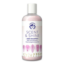 Scent & Shine Shampoo x 250ml