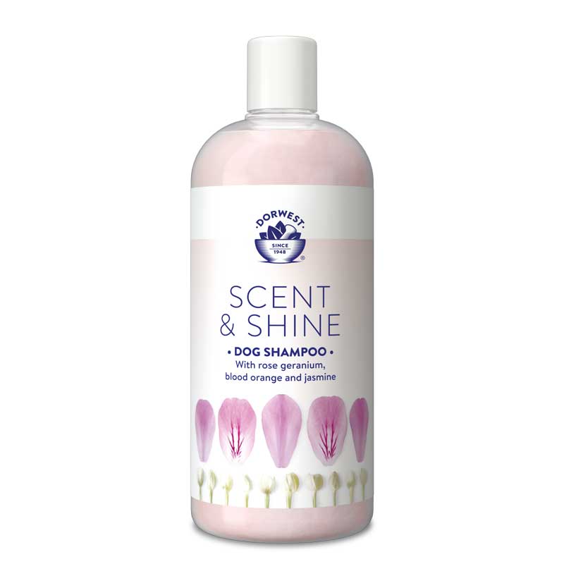 Scent & Shine Shampoo x 500ml
