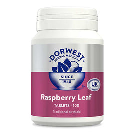 Dorwest Raspberry Leaf tablets 200 tabs